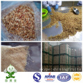 Fried Onions New Crop 2016 From China